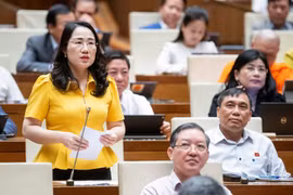 Cử tri lo lắng trước hiện tượng thổi giá, tạo sóng, gây nhiễu loạn thông tin thị trường bất động sản