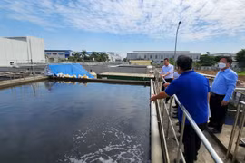 Phát triển kiểm toán môi trường chuyên nghiệp, hiệu quả
