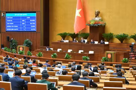 Bổ sung quy định nghiêm cấm 'thỏa thuận mua bán người từ khi còn đang là bào thai'