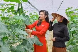 Cam kết và thực trạng triển khai ESG tại Agribank