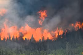 Cháy rừng đẩy Canada vào top 4 quốc gia phát thải CO2