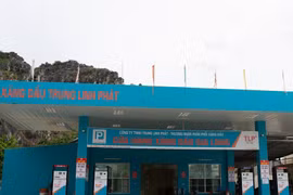 'Ông lớn' xăng dầu Trung Linh Phát đứng đầu danh sách nợ thuế tại Ninh Bình