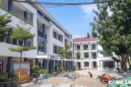 Thu hàng trăm tỷ đồng mỗi năm, Công ty xây dựng Ninh Bình báo lãi ở mức 'tượng trưng'?