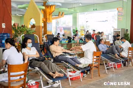 Thừa Thiên Huế: 200 doanh nhân đăng ký tham gia chương trình hiến máu tình nguyện