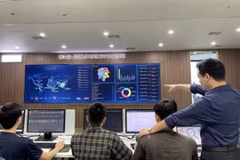 Gần một nửa cơ quan, doanh nghiệp tại Việt Nam bị tấn công mạng trong năm 2024