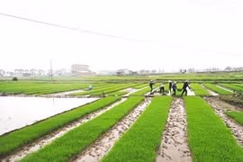 Bộ Tài chính đề nghị miễn thuế sử dụng đất nông nghiệp đến hết năm 2030