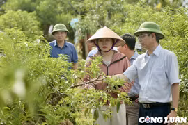 Phóng viên các cơ quan báo chí trung ương thường trú tại Thanh Hoá đi thực tế tại huyện Triệu Sơn