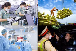 Nóng 18h: Việt Nam vẫn tiếp tục thống trị thị trường lúa gạo