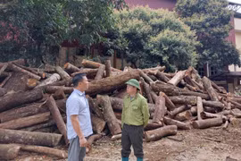 Đeo bám thông tin, theo đến cùng để đưa sự việc ra ánh sáng