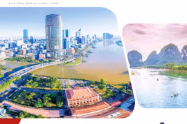 Đánh thức bản lĩnh, vượt cơn "gió ngược"!