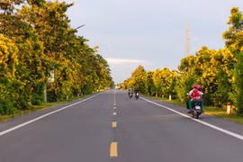 Đường nối Cần Thơ - Vị Thanh, tuyến đường đẹp nhất miền Tây Nam Bộ