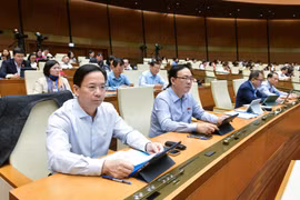 Xử lý nghiêm hành vi gian lận trong phát hành, chào bán chứng khoán