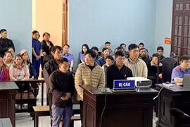 Lào Cai: Khai thác gỗ trái phép trong vườn quốc gia, 5 đối tượng bị phạt tù