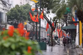 Đường phố Hà Nội ngập sắc cờ hoa mừng Đảng, mừng Xuân Giáp Thìn 2024