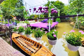 Cần Thơ - điểm du lịch Tết đậm chất miền Tây Nam Bộ