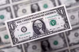 Đại sứ Nga: Thêm nhiều quốc gia cân nhắc việc từ bỏ đồng USD