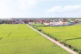 Thái Bình: Thưởng 75 tỷ đồng cho 25 xã nông thôn mới nâng cao