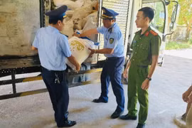 Gian nan cuộc chiến chống đường lậu: Tăng cường bảo vệ người tiêu dùng và mía đường nội địa