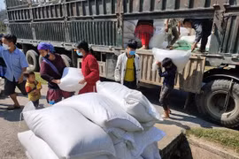 Xuất cấp gạo cho 12 địa phương hỗ trợ nhân dân dịp Tết và giáp hạt năm 2024