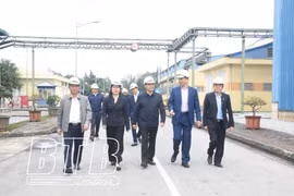 Thái Bình: Tăng cường công tác an toàn vệ sinh lao động tại các doanh nghiệp