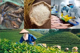 Xây dựng, bảo hộ thương hiệu nông sản Việt: Muộn còn hơn không!