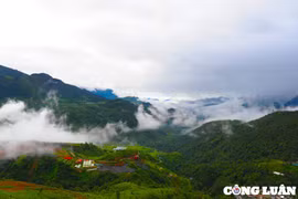 Du khách thích thú săn mây trên đèo Ô Quy Hồ