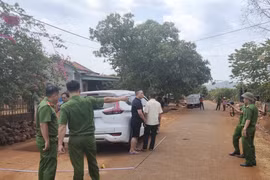 Gia Lai: Khởi tố vụ án, bắt tạm giam 2 đối tượng bắt người trái pháp luật