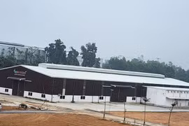 Nghệ An: Chính quyền buông lỏng quản lý để vi phạm xây dựng của Công ty Nhật Huy không được ngăn chặn?