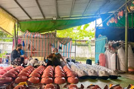 Thăm xưởng sản xuất đồ chơi Trung thu nức tiếng tại Hưng Yên