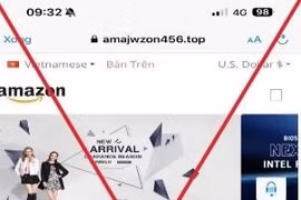 Người đàn ông bị chiếm đoạt hơn 3 tỷ đồng khi tham gia bán hàng tại website giả mạo Amazon