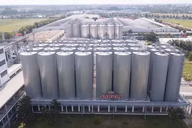Sabeco (SAB) dự kiến chia cổ tức tiền mặt 20%
