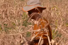 Zimbabwe tuyên bố thảm họa quốc gia do hạn hán El Nino