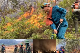 Hàng trăm người xuyên đêm chữa cháy rừng ở Nghệ An