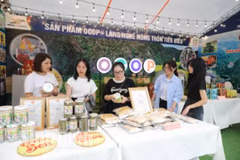 Ninh Bình: Trưng bày các sản phẩm OCOP và làng nghề nông thôn tiêu biểu