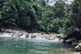 Một người dân tử vong do đuối nước khi tắm suối ở Quảng Bình