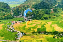 Festival dù lượn 2024: Trải nghiệm bay trên ruộng bậc thang đẹp nhất thế giới
