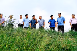 Hải Dương: Ứng phó với bão số 3 ở mức cao nhất