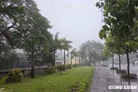 Bão số 3: Quảng Ninh di dời hơn 2 nghìn hộ dân, huyện đảo Cô Tô ban hành lệnh giới nghiêm