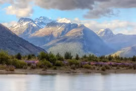 New Zealand tăng thuế du lịch với khách quốc tế
