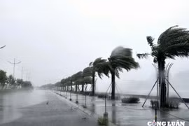 Quảng Ninh: Bão số 3 gây thiệt hại lớn cho địa phương
