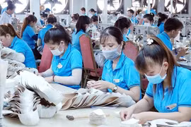 TPHCM: 32.470 vị trí việc làm trống cần tuyển dụng cuối năm 2024