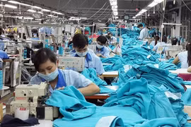 Garmex Sài Gòn (GMC) gần 2 năm không có đơn hàng, lỗ lũy kế lên tới 81 tỷ đồng