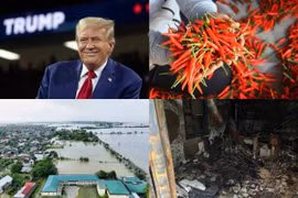 Nóng 18h: Ông Donald Trump đắc cử Tổng thống thứ 47 của Mỹ