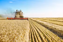 EU tăng thuế đối với ngũ cốc Nga và Belarus
