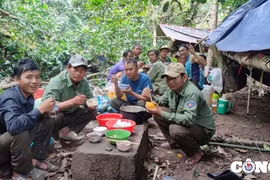 Gia Lai: Môi trường làm việc áp lực, chế độ đãi ngộ chưa tương xứng với lực lượng bảo vệ rừng
