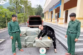 Quảng Ninh: Bắt giữ vụ vận chuyển 900kg nầm lợn đông lạnh không rõ nguồn gốc