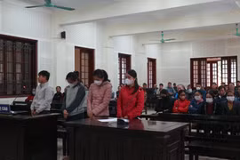 Cựu giám đốc quỹ tín dụng tham ô tiền tỷ để mua nhà, cho con du học