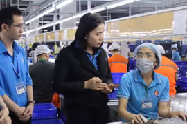 Thái Bình: Tạo việc làm cho 15.400 lao động trong 5 tháng đầu năm 2024