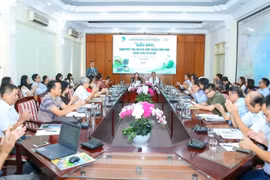 Giảm phát thải khí nhà kính trong chăn nuôi hướng tới mục tiêu Net Zero