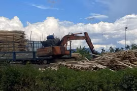 Thừa Thiên Huế: Huyện Nam Đông chỉ đạo xử lý sau phản ánh của báo Nhà báo và Công luận